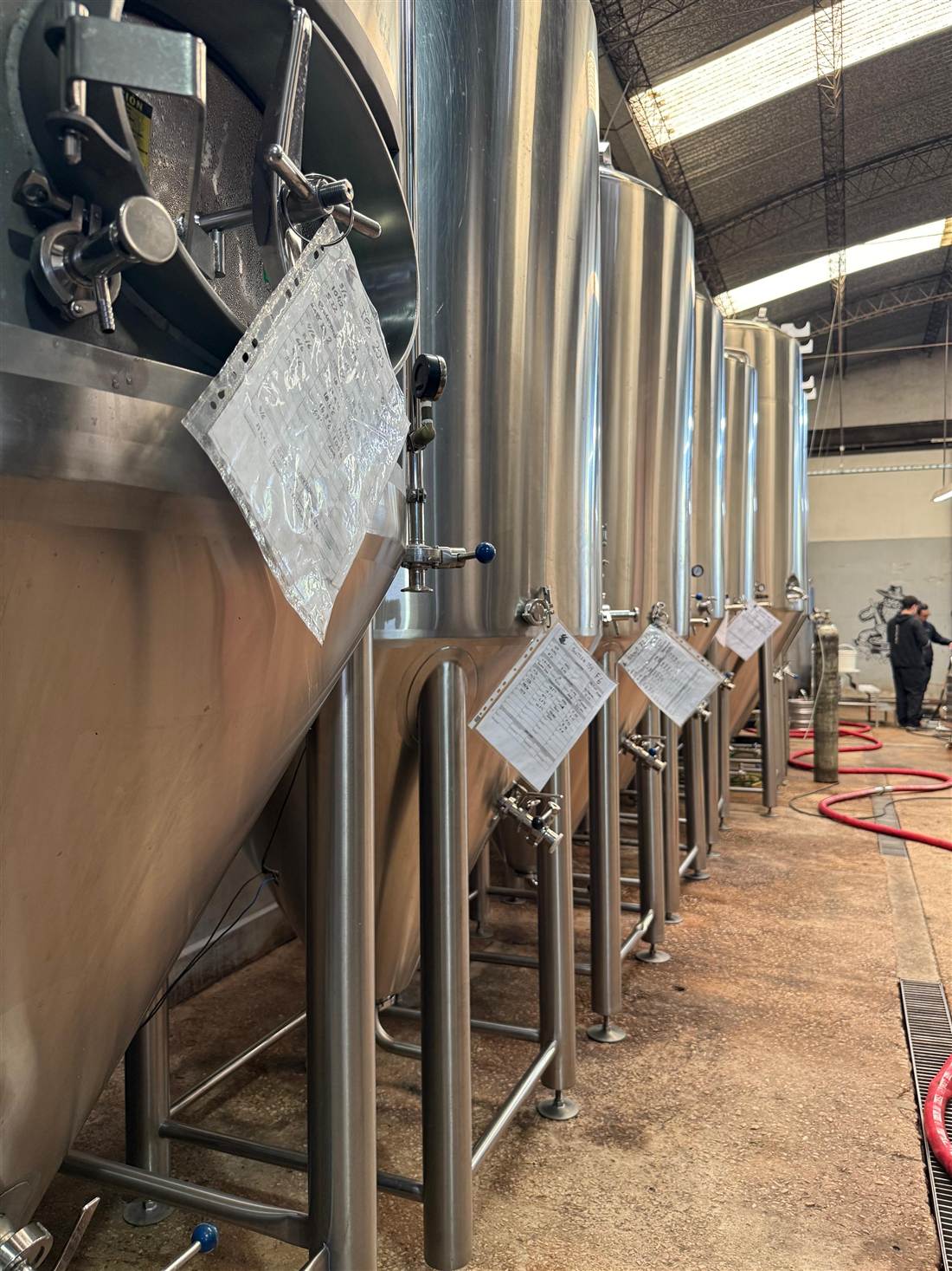 Fila de fermentadores de GAUCHO con las planillas de seguimiento de fermentación colgadas de cada tanque