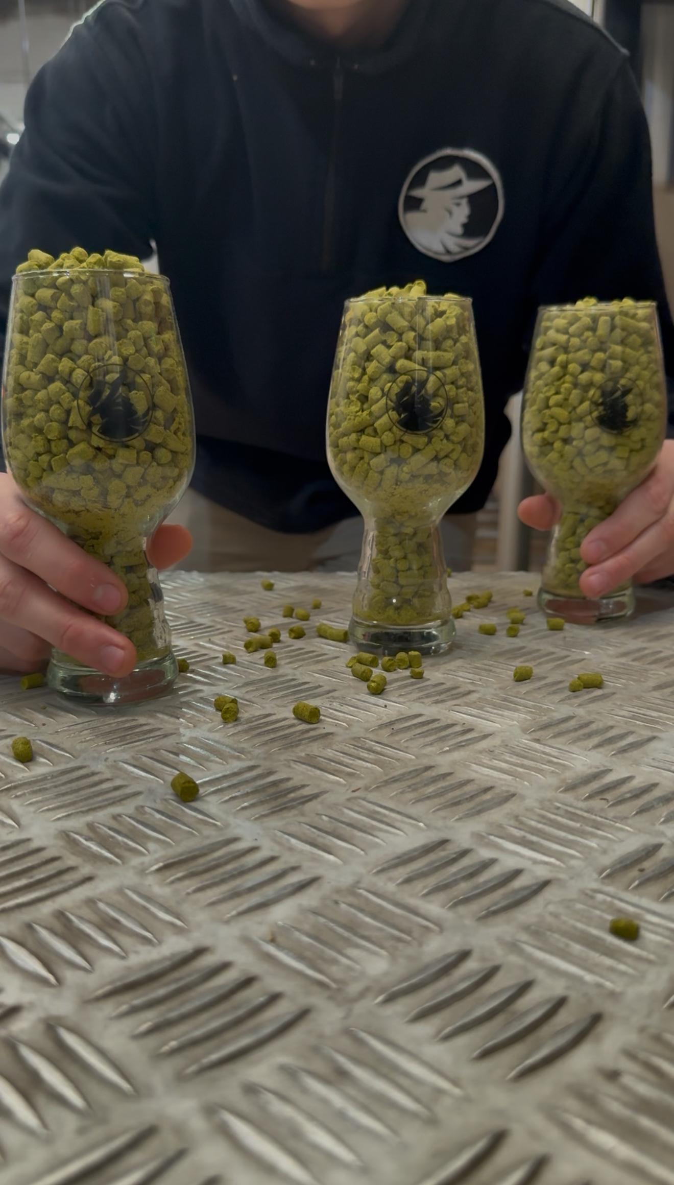 Tres vasos GAUCHO llenos de pellets de lúpulo sobre la mesa de trabajo de la fábrica